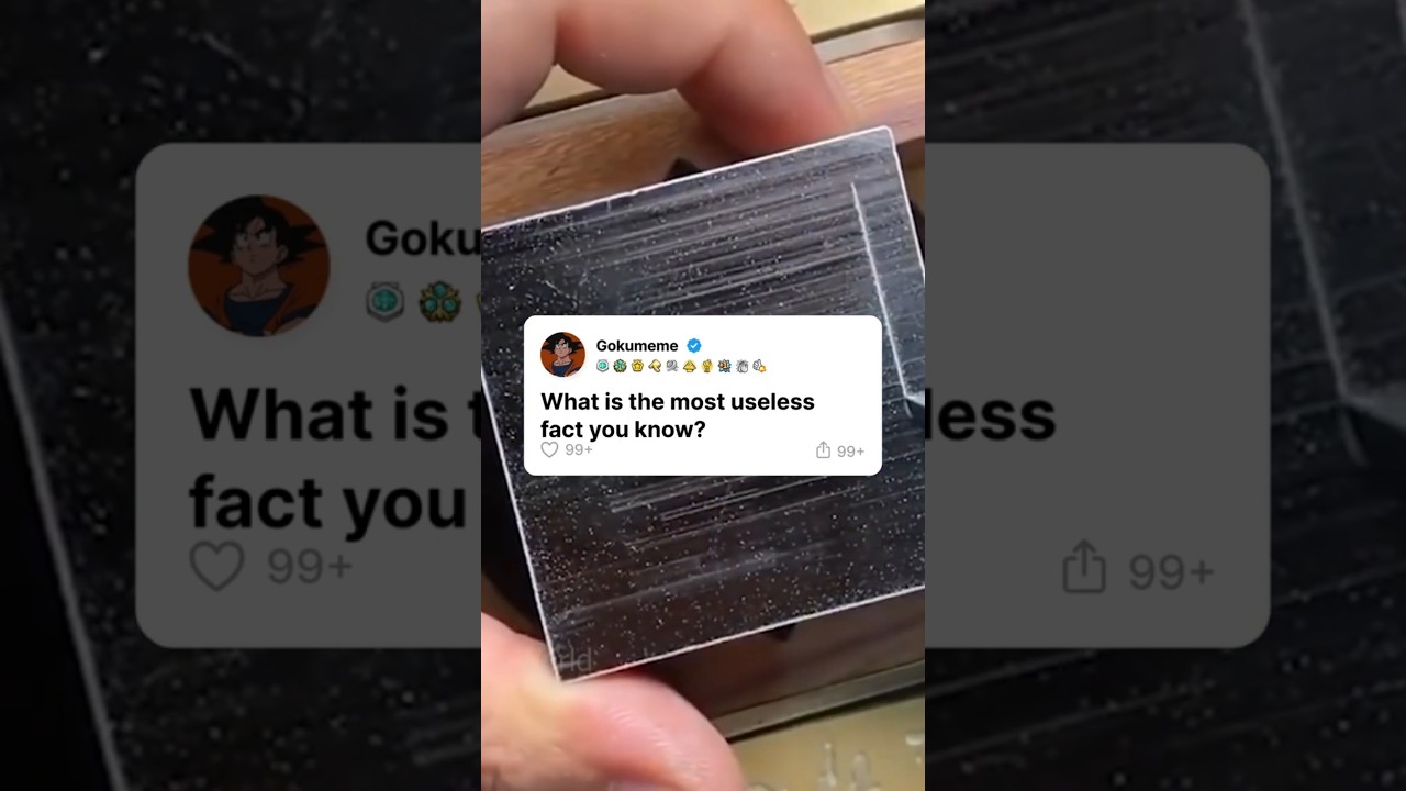 What’s the Most Useless FACT You Know?