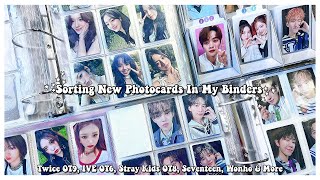 Sorting New Photocards In My Binders  76 ✰ Twice OT9, IVE, Stray Kids OT8, Seventeen, Wonho & More