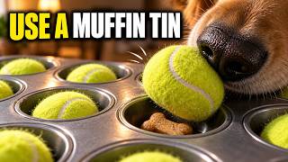 The Muffin Tin Game: The $0 DIY Puzzle Dogs Obsess Over screenshot 4