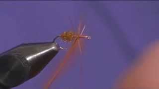 Fly Tying an Ant - Fly Tying DVD