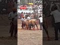 Burhanpur: शाहपुर में वार्षिक मेले में किया गया प्रतिबंधित पाडा लडाई का आयोजन, समिति पर एफआईआर दर्ज