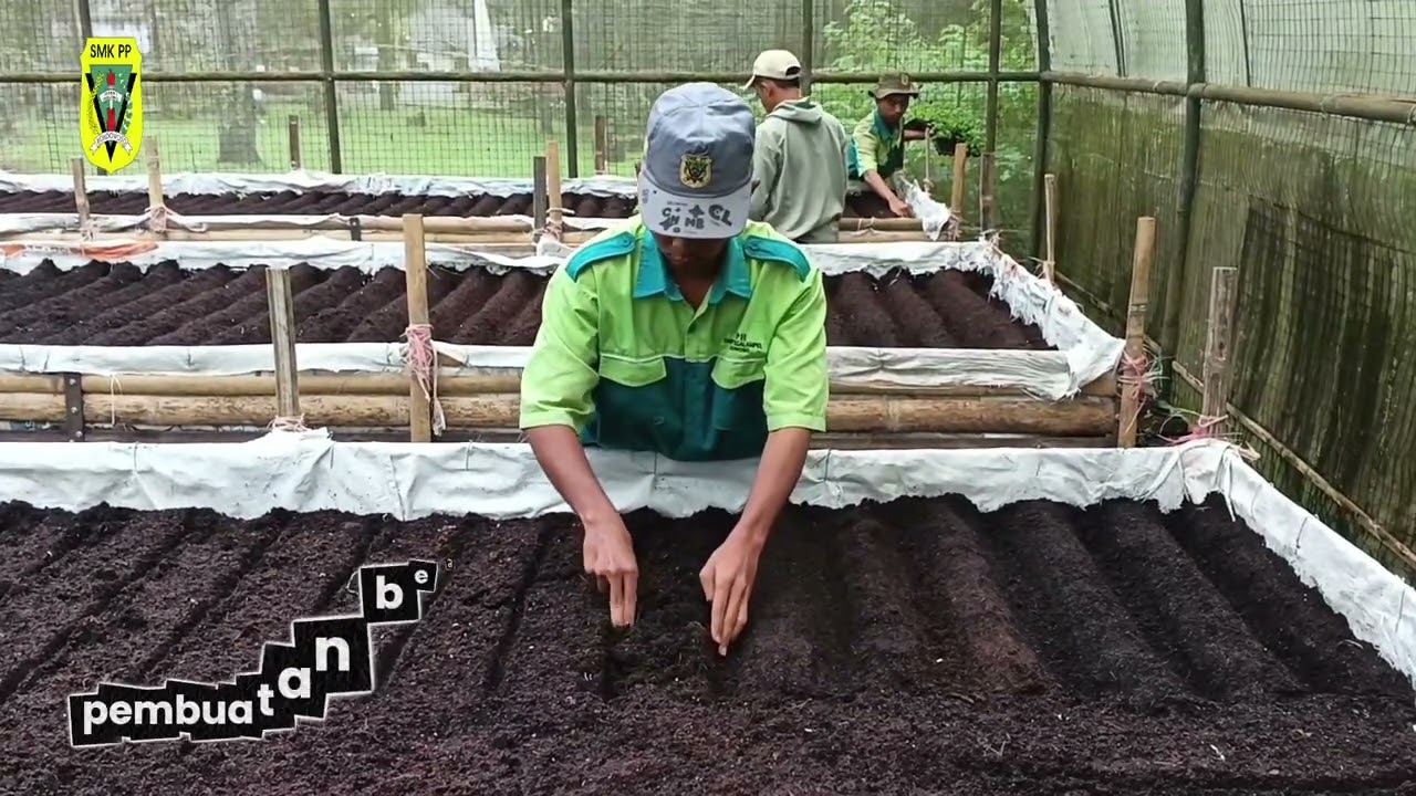 PENGALAMAN PKL DI HALLO TANI 99