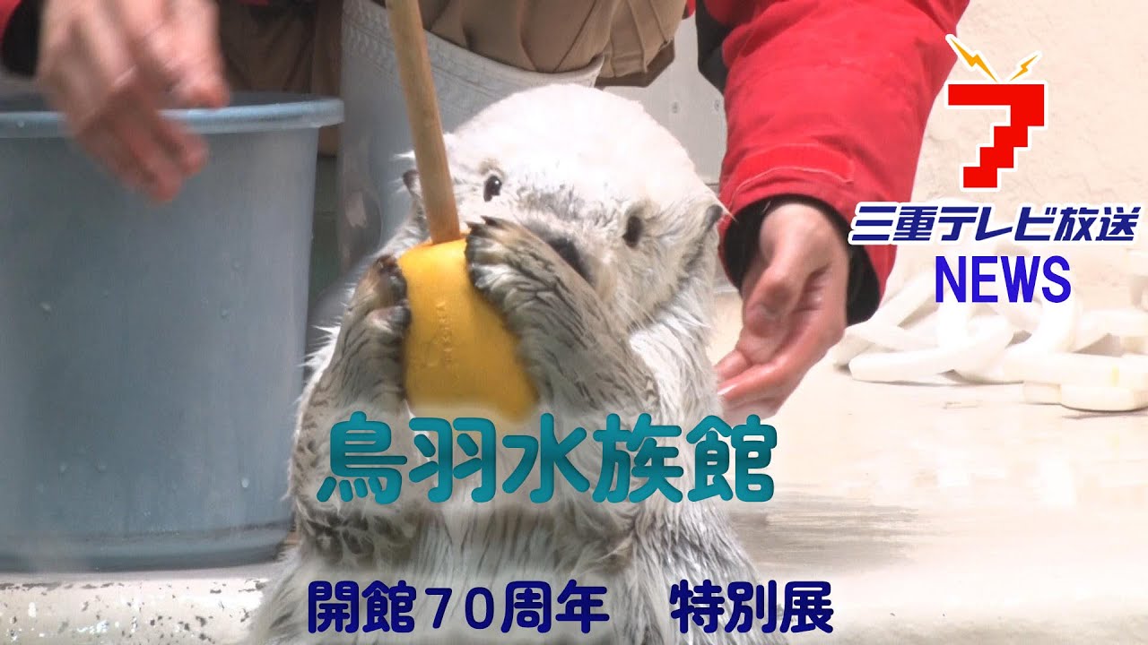 Special exhibition at Toba Aquarium in Mie Prefecture, featuring