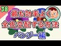 【ポケ森 攻略】最も効率よくパンジーの花家具をコンプする方法【どうぶつの森ポケットキャンプ】