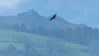 VALLE DE ARAITZ. TERRITORIO DEL MILANO REAL.