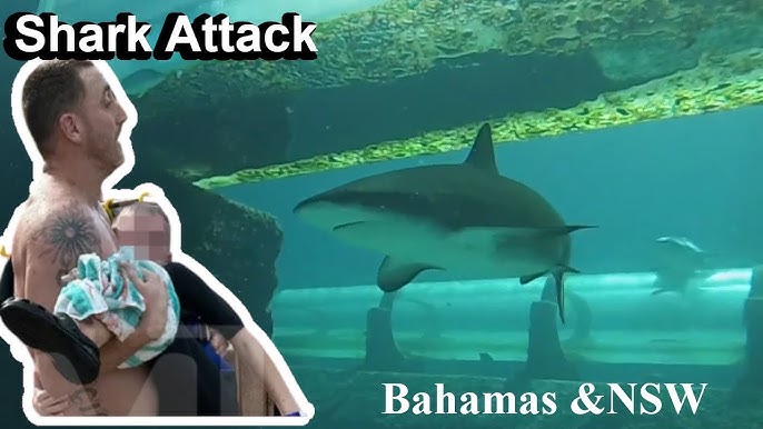 First Fatal Shark Attack of 2023