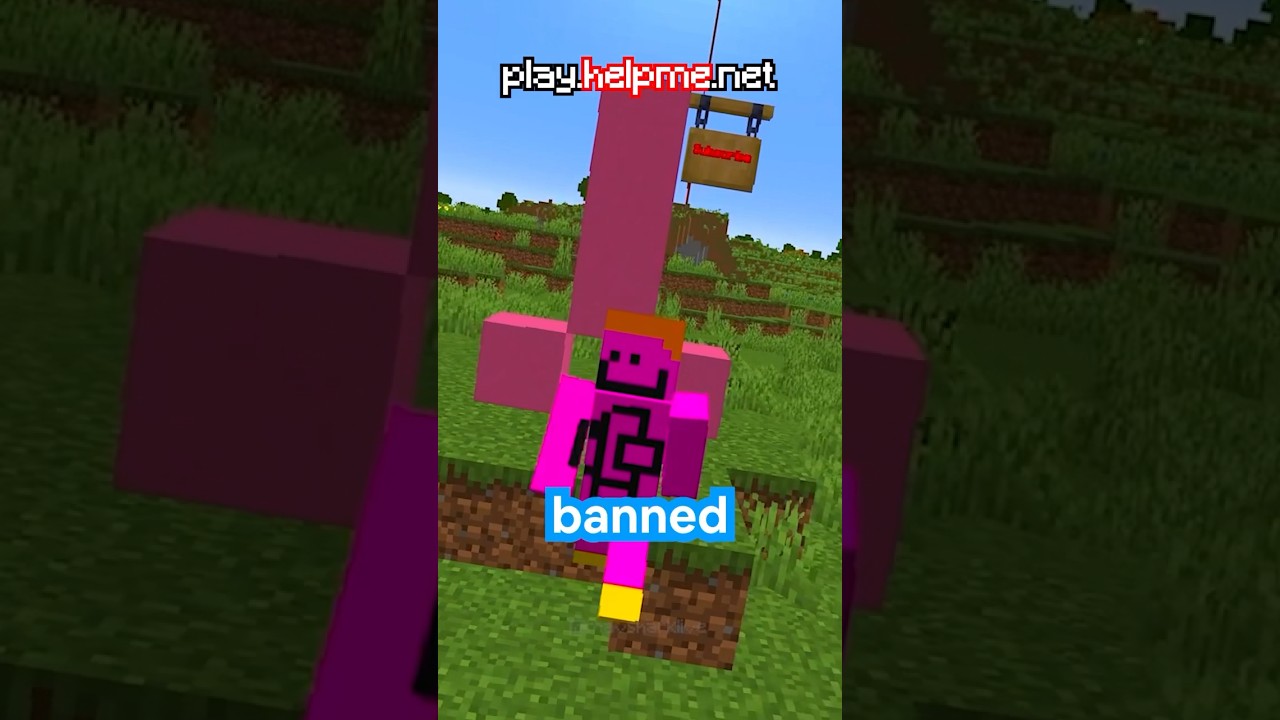 This Player Was HACKING On My Minecraft Server... #shorts