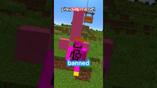 This Player Was HACKING On My Minecraft Server... #shorts screenshot 5