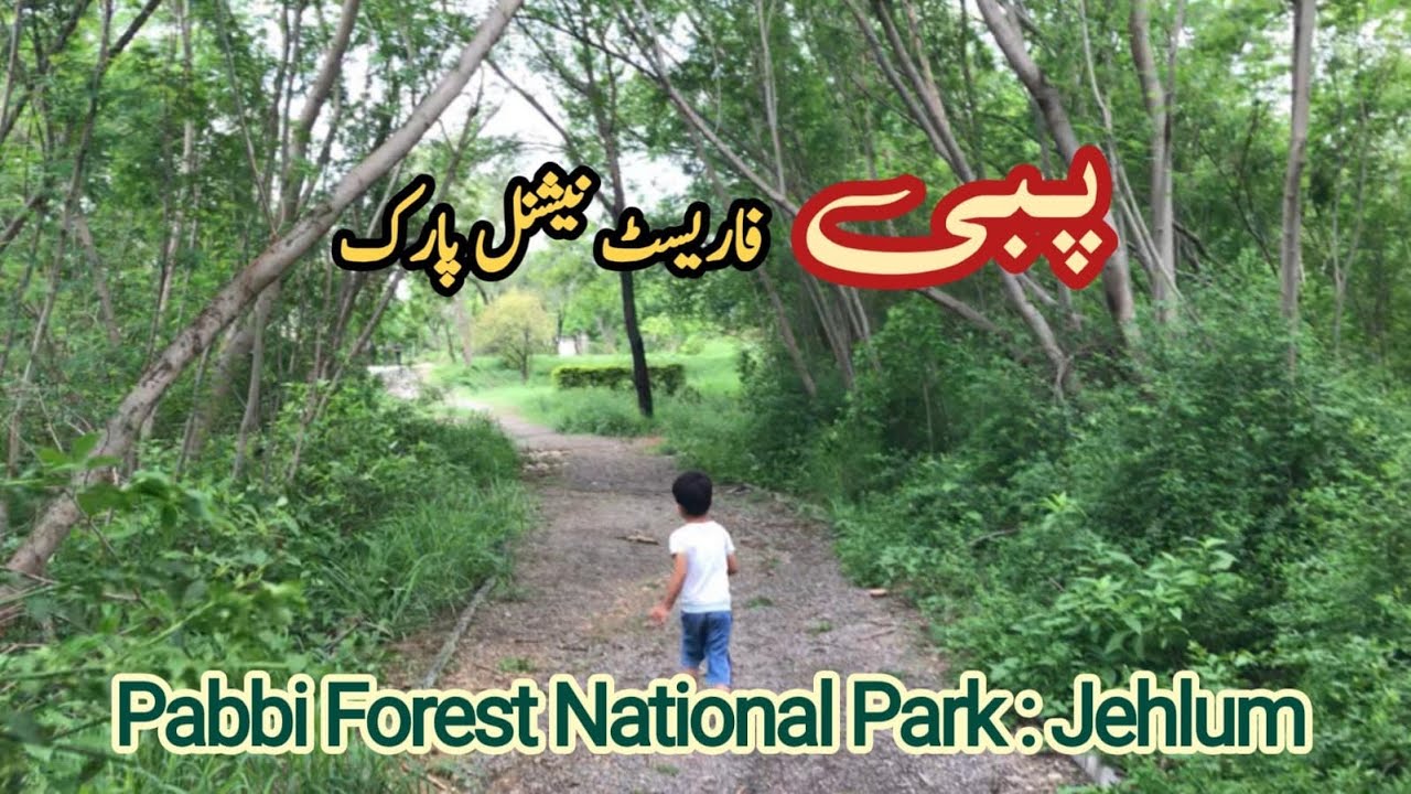 Pabbi Forest National Park | Jehlum | Pakistan || پبی فارسٹ نیشل پارک | کھاریاں ، جہلم | پنجاب