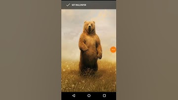 Animals Mod Dinos Online