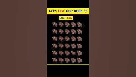 Memory Test || Riddles And Puzzle For Iq Test || part 19 || #quiztime #shorts