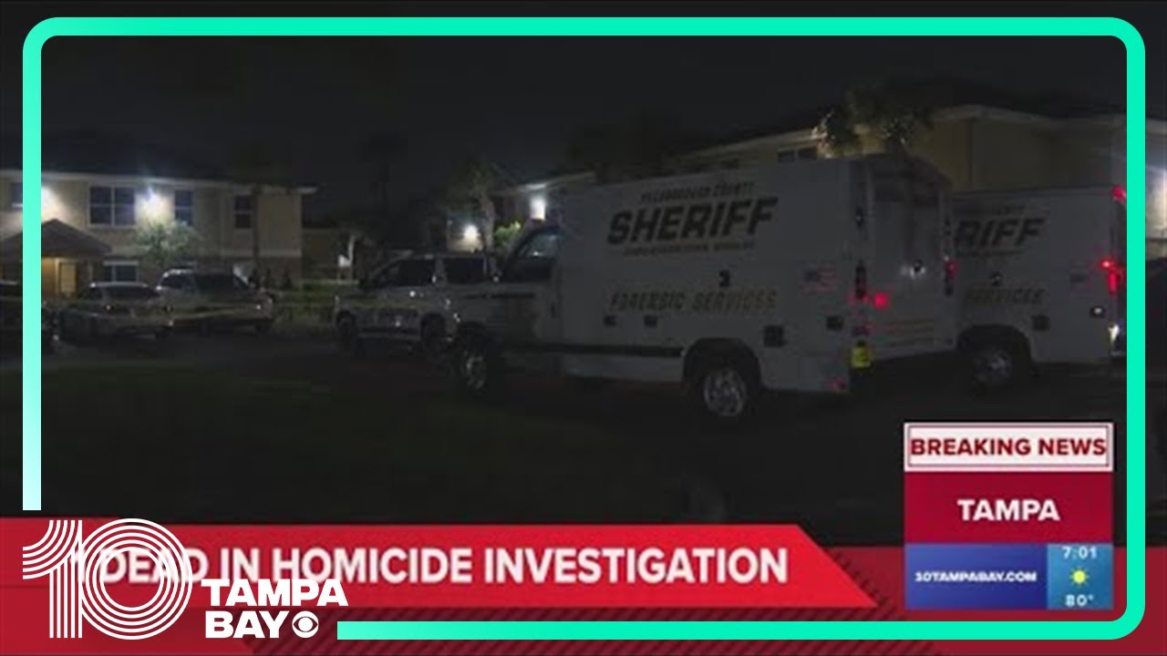 1 dead after shooting at Tampa apartment complex - YouTube