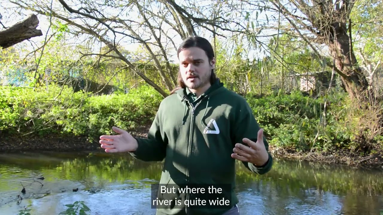Rediscovering the River Colne