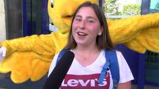 Pixel News Freitag, 07. Juni 2019