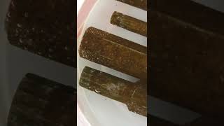 the salt & vinegar trick to clean rusty tools work better than expected
