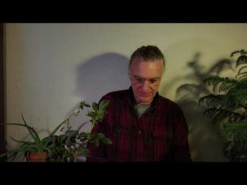 ACIM Lesson 40 with Will E February 9, A Course In Miracles Workbook Year Journey
