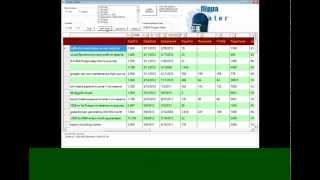 Flippa Reverse Engineer Demonstration