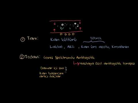 Video: Oklahoma'ta aerobik septik sistem maliyeti ne kadardır?