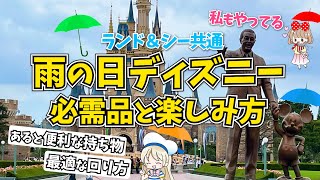 ディズニーを雨の日にも快適に過ごすための必須持ち物6選！雨のパークを120％楽しむ過ごし方も徹底シェアします♩