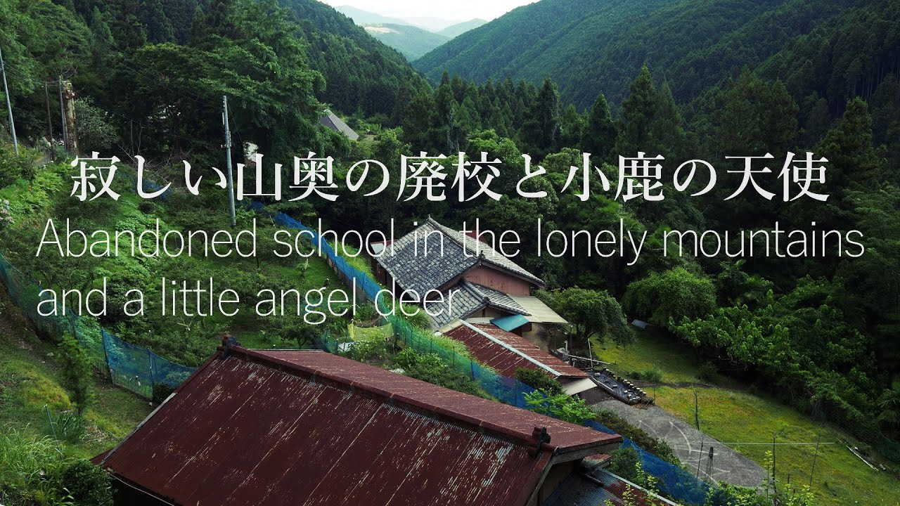 寂しい山奥の廃校周辺に小鹿の天使が登場…三瀬川　A fawn angel appears near an abandoned school in the lonely mountains