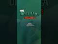 Aliens are hidding in our oceans