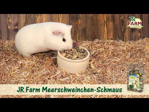 JR FARM - JR Farm Meerschweinchen-Schmaus