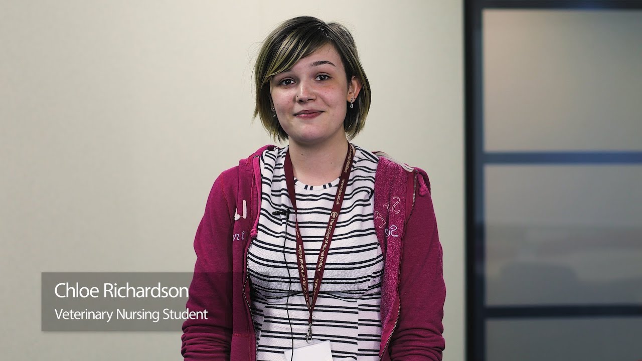 We love training to become Veterinary nurses because...