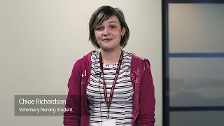 We love training to become Veterinary nurses because...