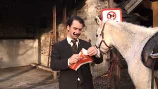 Contested | How to Fight A Parking Ticket | Chicago Comedy Film Festival