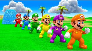 Long Slide Game With Cow Elephant Gorilla Hippopotamus Tiger 3d Animal Game Funny 3d Animals