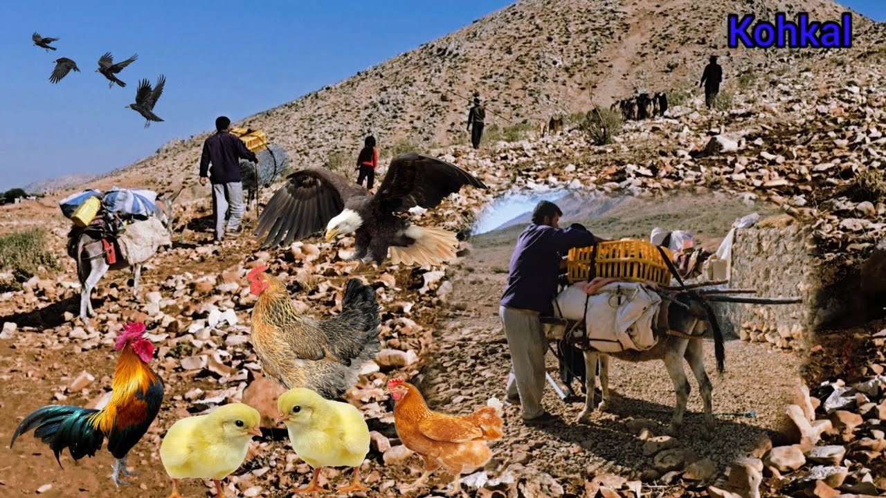 🏕️ A real day with Iranian nomads | ☀️ Family migration in the harshest conditions of heat and natur