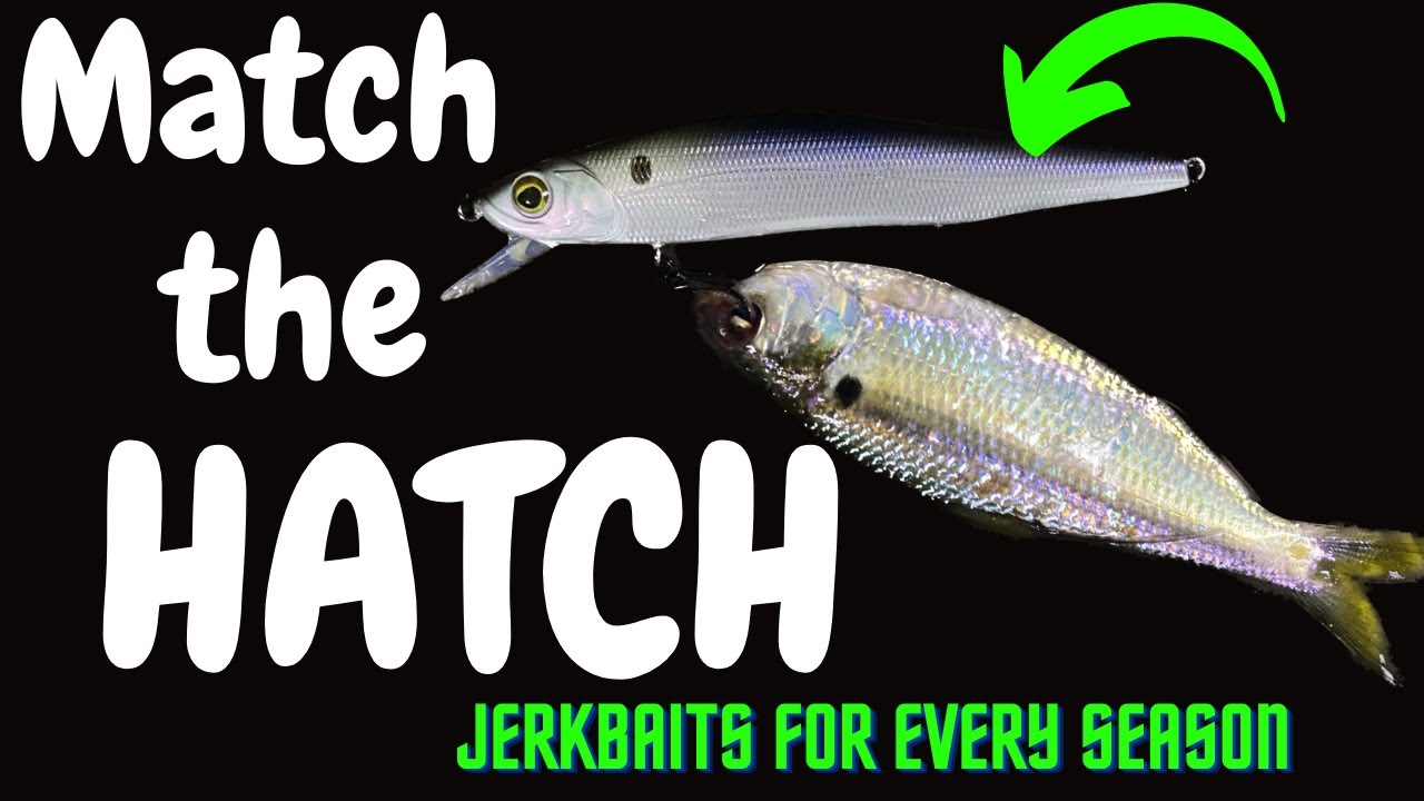 Which Season is best for Jerkbaits??! pt.4 YouTube