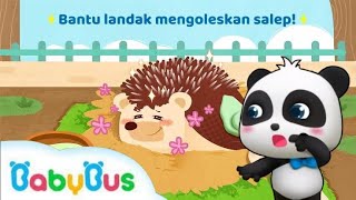 Panda Yang Baik Hati Menolong Hewan Yang Sedang Sakit Di Hutan, Penyelamatan Panda Kecil #Babybus screenshot 5