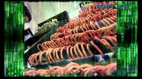 Chữ ký số VNPT-CA - Công ty Visnam - www.visnam.com