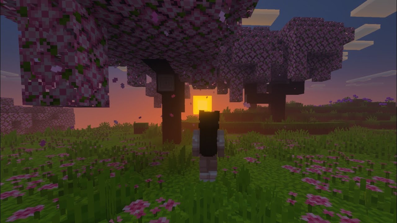 1hr of Minecraft Biome Ambience #minecraft #ambientmusic #ambient - YouTube