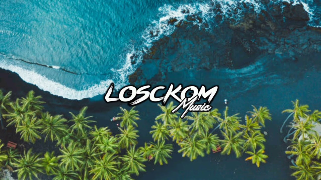 Melodii (Losckom Remiix)🌴
