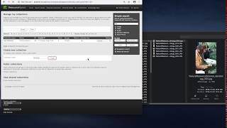 How To Upload: Step #1. Create a working collection