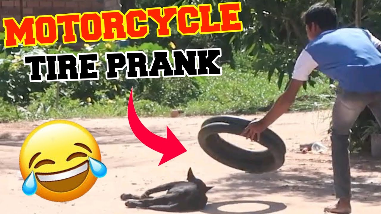 MOTORCYCLE Tires Pranks Tired Dog | Funny Dog Video 2025