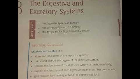 Class -4.   Chap-3.    The Digestive and Excretory system  part-2