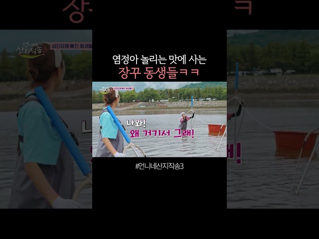염정아 놀리기에 진심임 ㅋㅋ #언니네산지직송3
