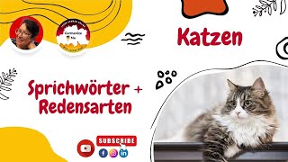 Mit Katzensprüchen durch den Tag! Miau...