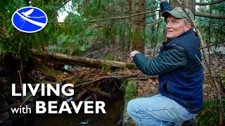 Full Living with Beaver - A Landowner Portrait News