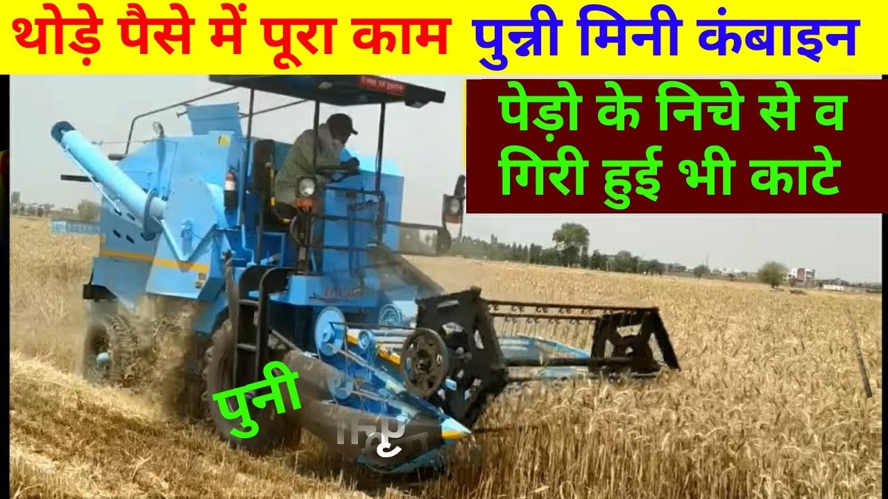 punni mini combine harvesters // पुन्नी वालों की मिनी (छोटी )कंबाइन // best combine harvester india