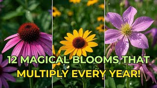 12 Flowers That Grow Themselves! | Self-Seeding Perennials for Effortless Beauty All Year 🌸