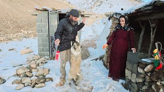Rescue in the Wilderness: Dawood’s Brave Act of Saving a Homeless Woman’s Dog in the Mountains screenshot 1