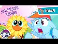 My little pony en espaol la magia de la amistad episodios ms extraos  fim 1 horas