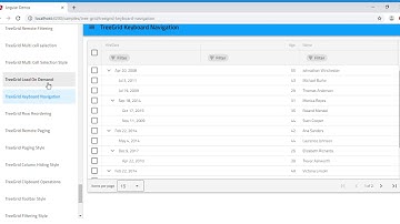 Angular demos ignite ui(TreeGrid Load On Demand) for angular 8