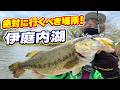 毎回確実にデカバスが釣れる！！絶対に行くべき場所！！！【伊庭内湖】【バス釣り】【シャーベットヘアーチャンネル】【ミンコタエッジ45】【レンタルボート】