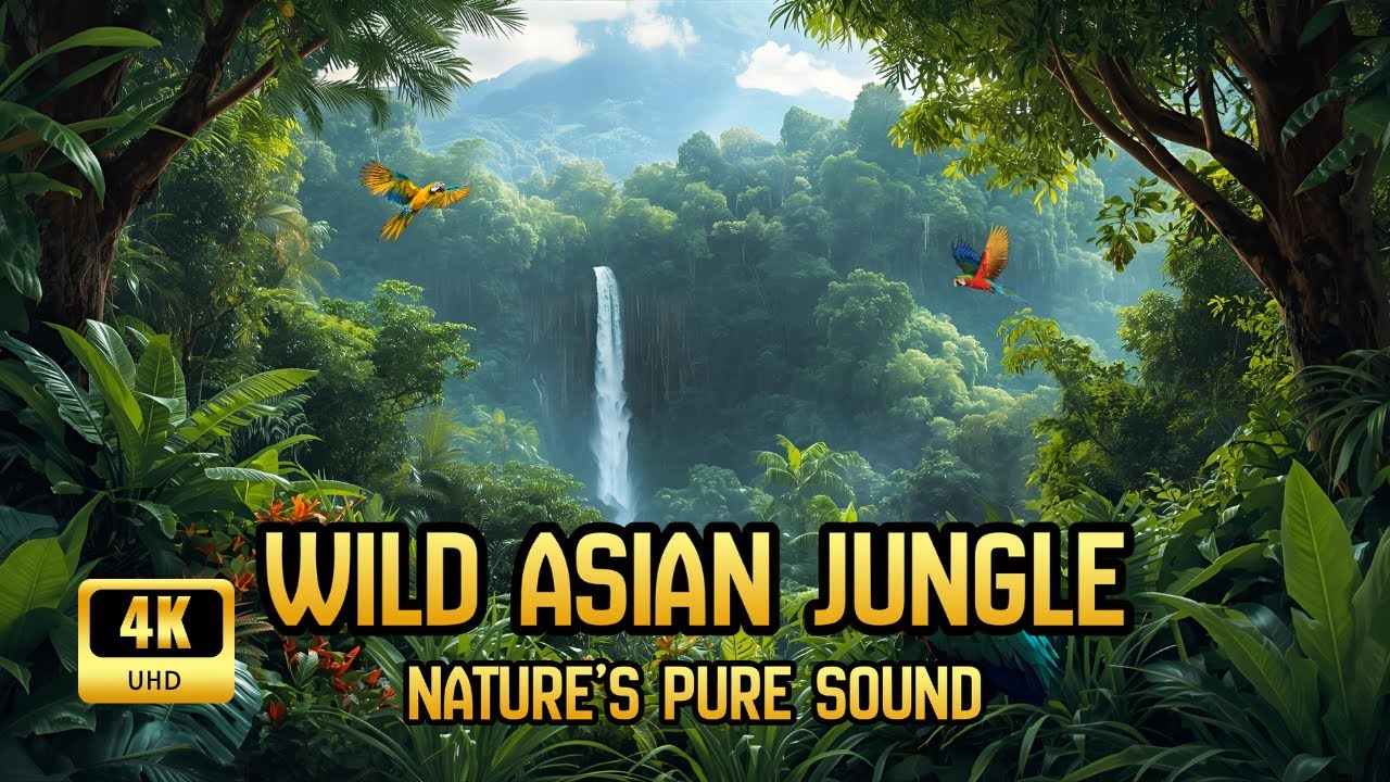 Nature Sounds – Jungle of Asia | Peaceful Wildlife in 4K UHD (No ...