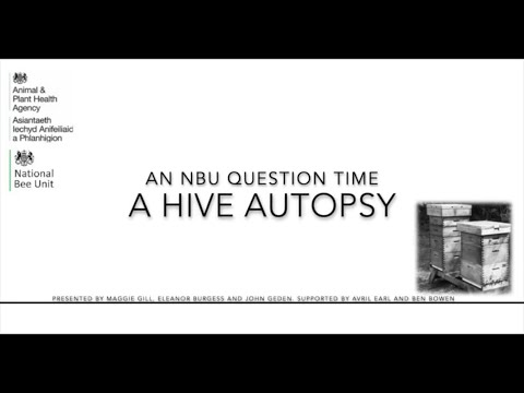 NBU Question Time 1 - 15/03/2022 - A Hive Autopsy